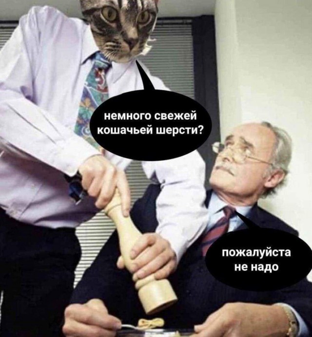 Мужчины сами виноваты в низком качестве современных женщин!