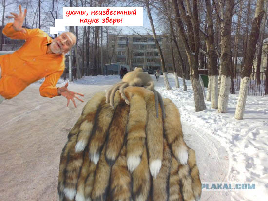 Хедкрабы в твоем городе!