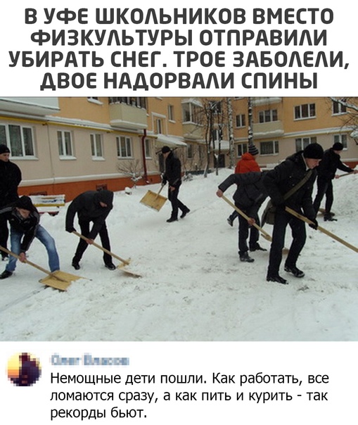 Немного картинок для настроения 05.11.20