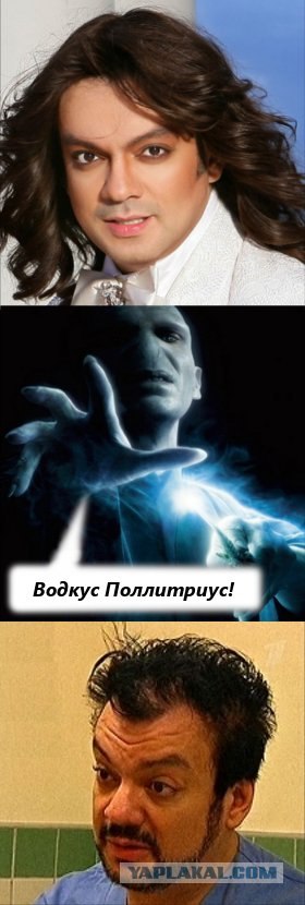 Ярость Волан-де-Морта