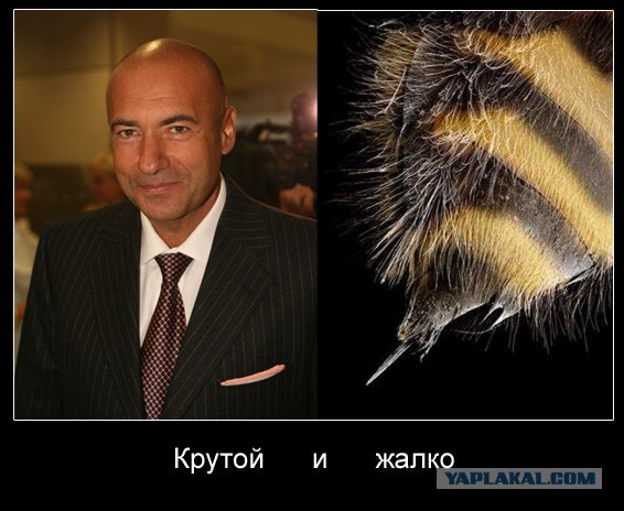 Круто, когда не жалко!