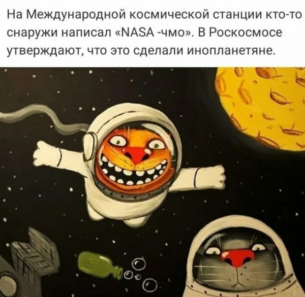 Прикольные и просто красивые картинки 08.12.2020