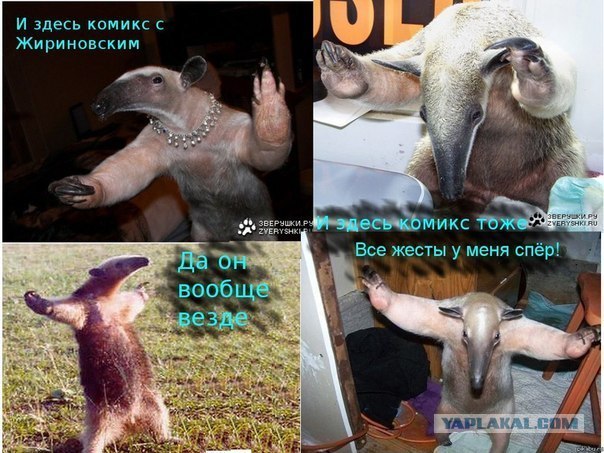 Жириновский и комиксы