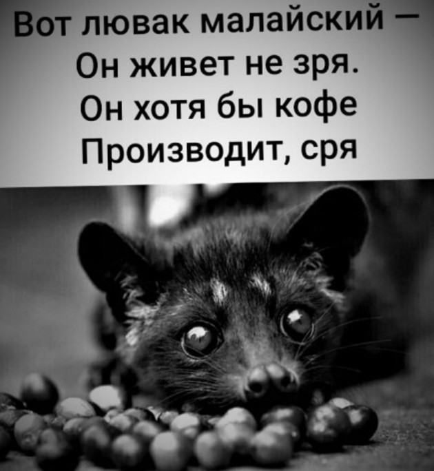 Как быстро надоедает жена