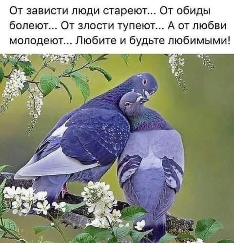 Как Иру замучил слишком правильный муж