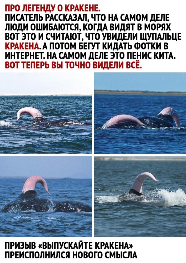 Так себе картинки 13.04.21