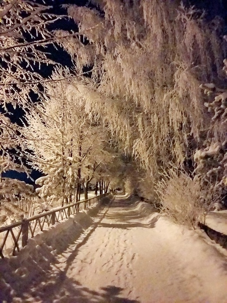 Антикочет