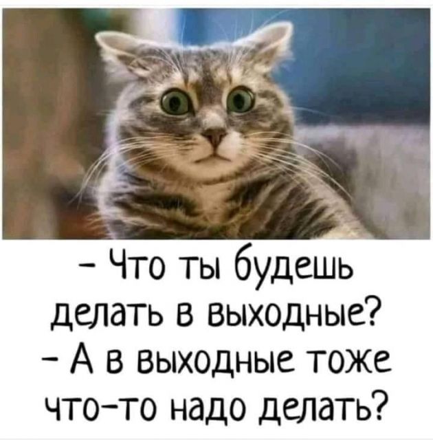 Картинки и буквы 15.07.22