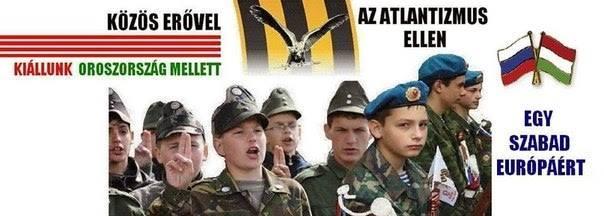 Вы хотите наше Закарпатье?