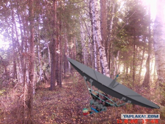 Костромская Аномальная Зона