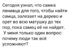 Так себе картинки 08.05.22