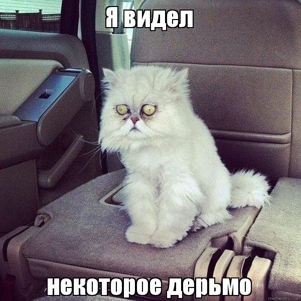 Пацан натерпелся, повидал всякого