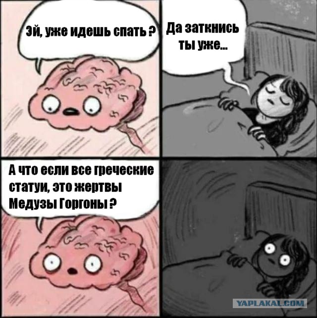 Весёлый полтишок 20.07.2022