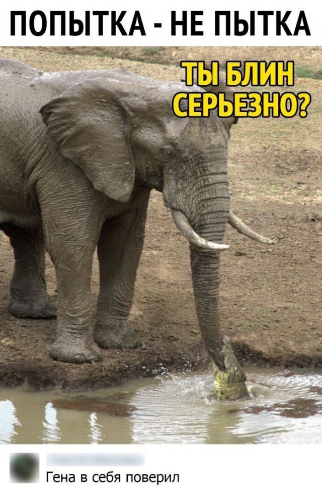 Картинки и мемы для настроения. Выходные рядышком...