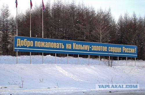Трансфер для Москвичей