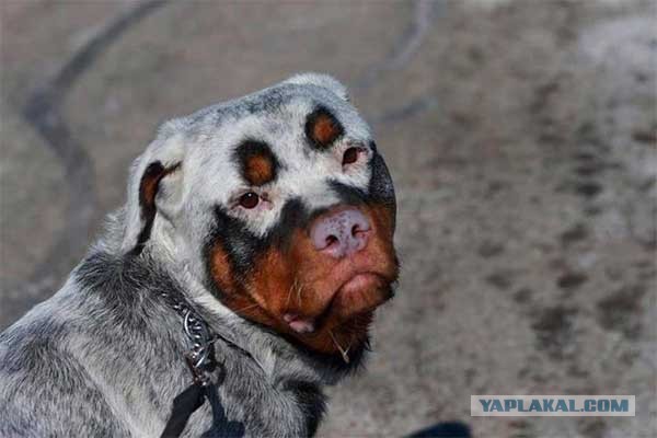 Ну, типа, с четвергом!