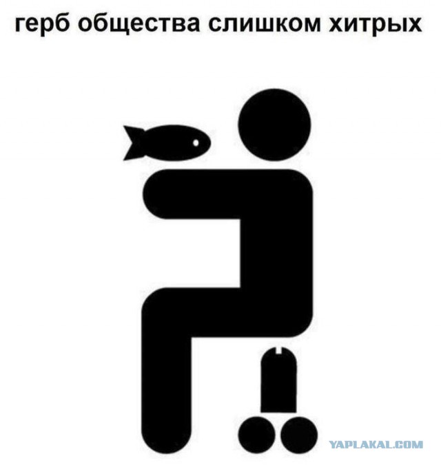 Любовь - это когда хочется кормить и трахать, все так