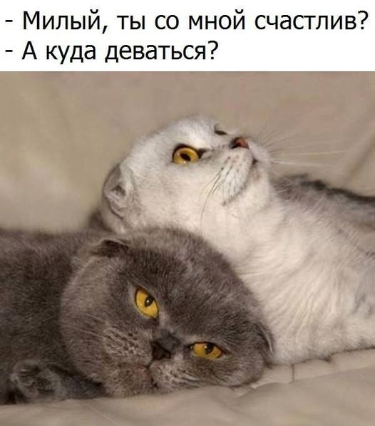 Картинки и мемы, выходные продолжаются