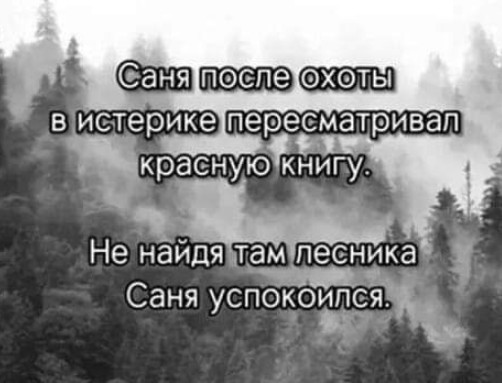 Бессистемная подборка 3