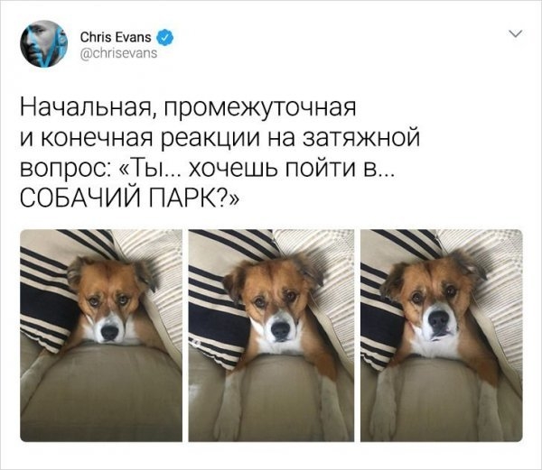 Немного картинок для настроения - 151