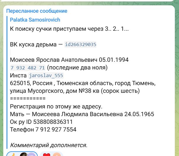 Живодера, выбросившего в окно кота задержали полицейские