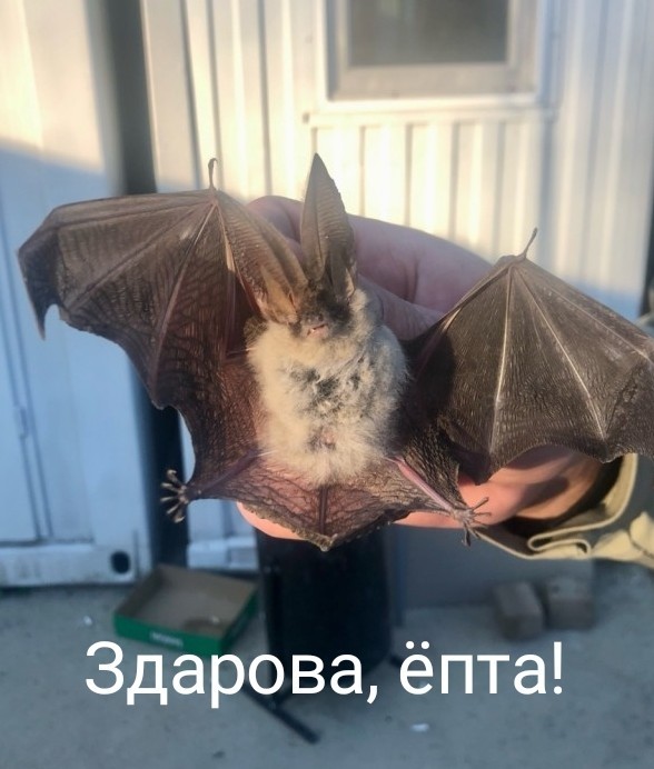 Неожиданное соседство на работе