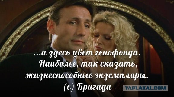 Драка в ДОСе