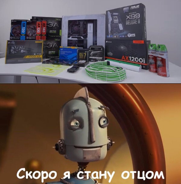 Бояны 6-ти летней выдержки