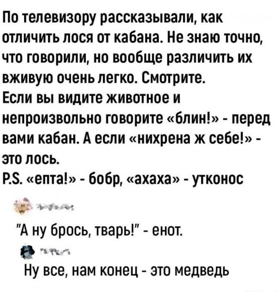 Так себе картинки 18.04.24