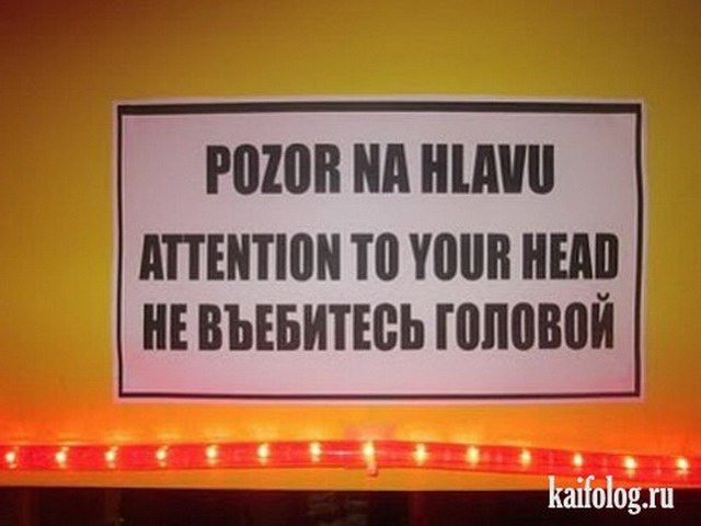 В один бар зашли русский, серб, чех, поляк, словенец и болгарин: на каком языке они будут говорить?