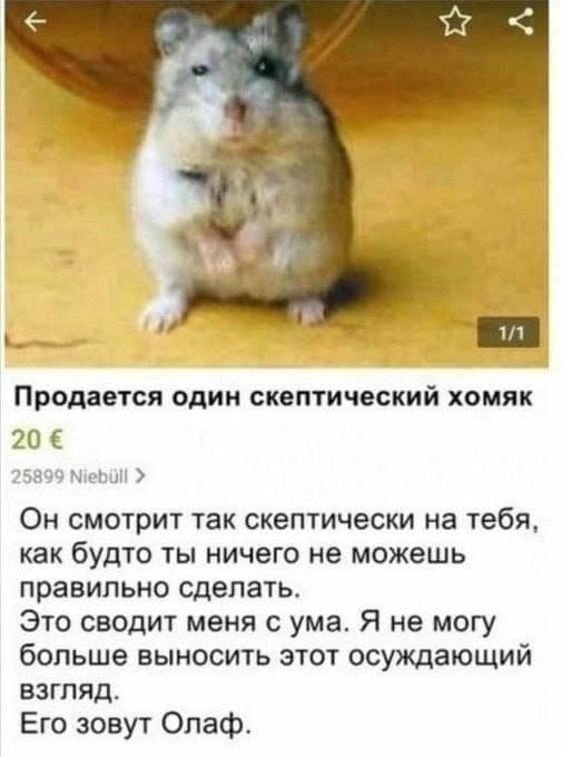 Так себе картинки 22.11.24