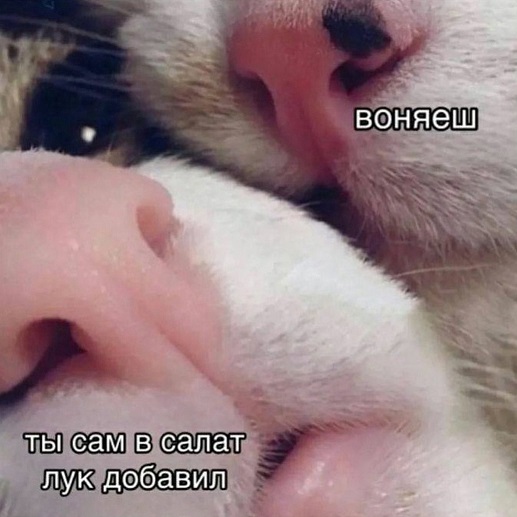 У рубля нет курса