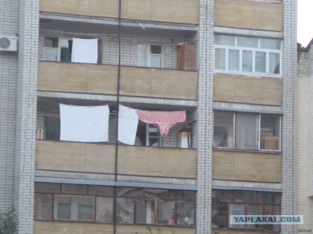 Начали появляться первые новогодние гирлянды