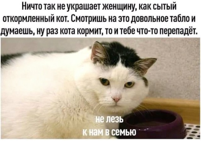 Веселые картинки в понедельник (14.04)