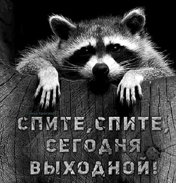 Картинки разные с надписями и без