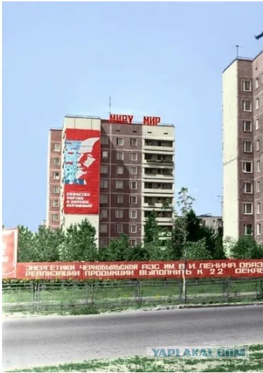 За нанесение надписей «Миру — мир» в Петербурге поймали москвича
