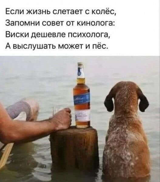 Картинки для деградации 29 (разной степени свежести)