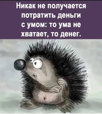 Субботние картинки