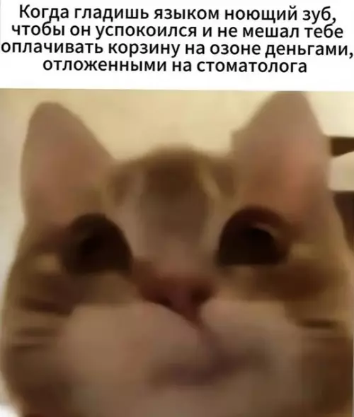 Картиночки, баянчики 21 февраля