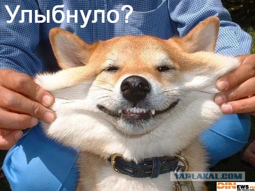 Кажется Китайцы хотят надуть.