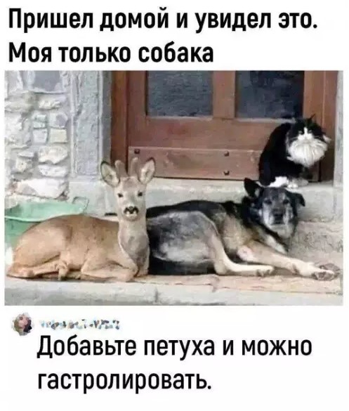 Картиночки, баянчики 24 марта