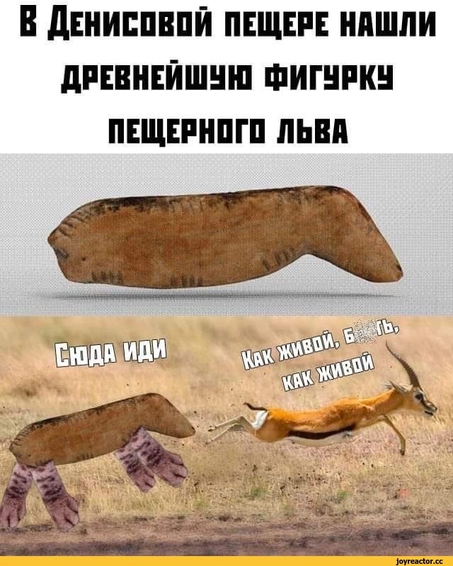 Артефакты прошлого 25.05.26
