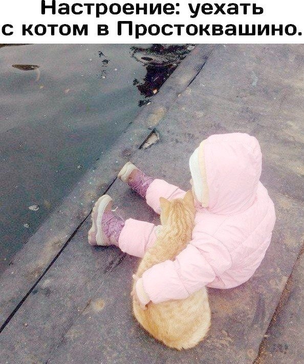 Так себе картинки 03.10.26