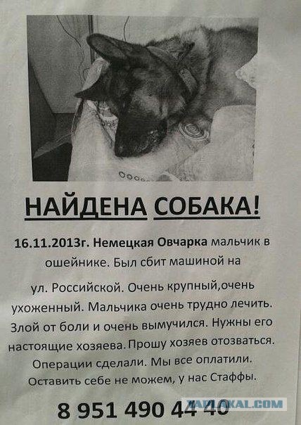 Лучшие проявления доброты в 2013 году