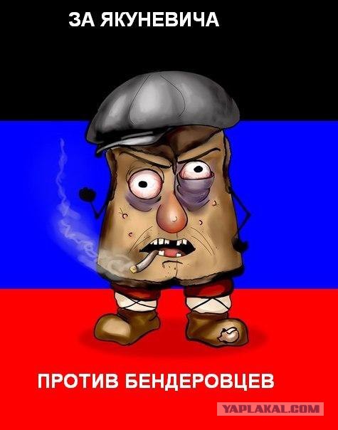 Вызов БАНДЕРЛОГАМ