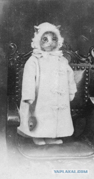 Зашел на ЯП