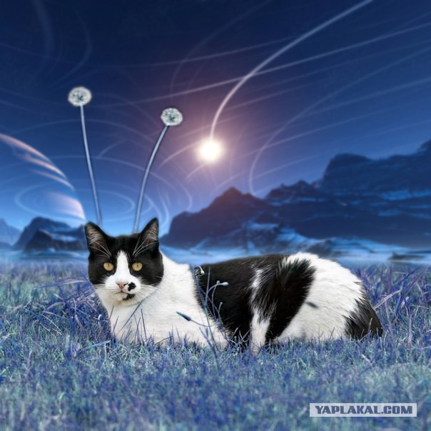 Без паники земляне