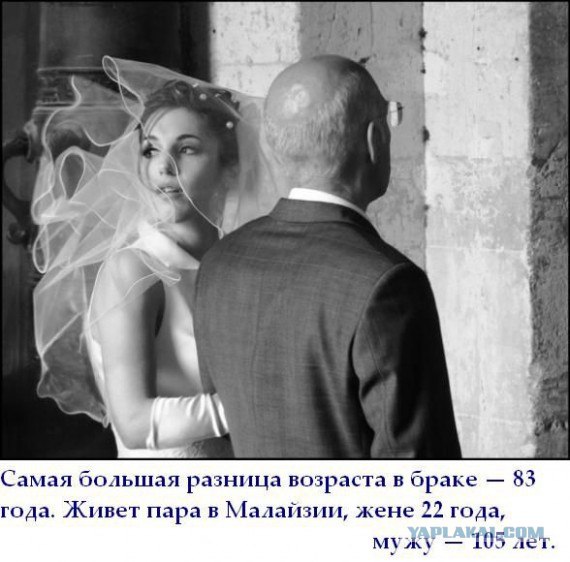 Факты в картинках