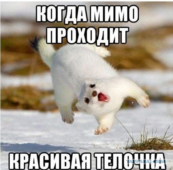 Кукла Lolita Richi