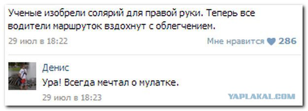 Смешные комментарии из социальных сетей